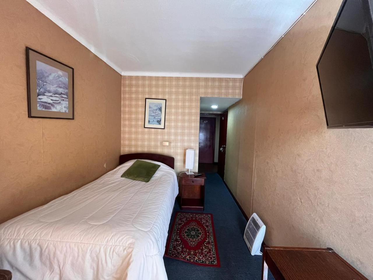 New Hotel Cruz Del Sur コンセプシオン エクステリア 写真