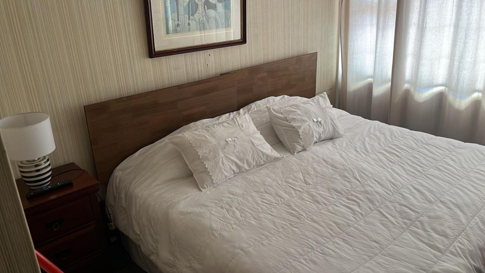 New Hotel Cruz Del Sur コンセプシオン エクステリア 写真
