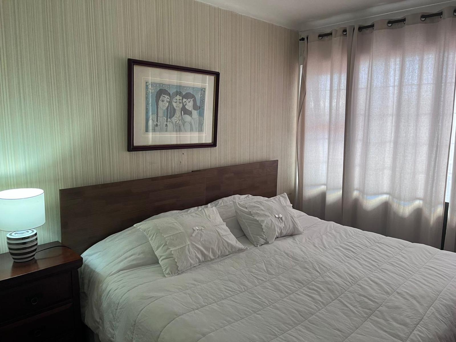 New Hotel Cruz Del Sur コンセプシオン エクステリア 写真