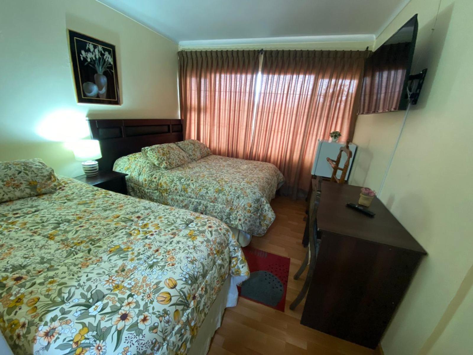 New Hotel Cruz Del Sur コンセプシオン エクステリア 写真