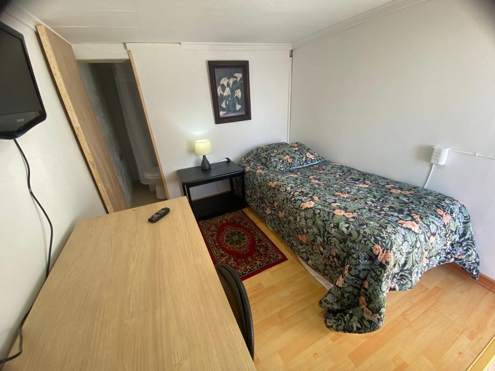 New Hotel Cruz Del Sur コンセプシオン エクステリア 写真