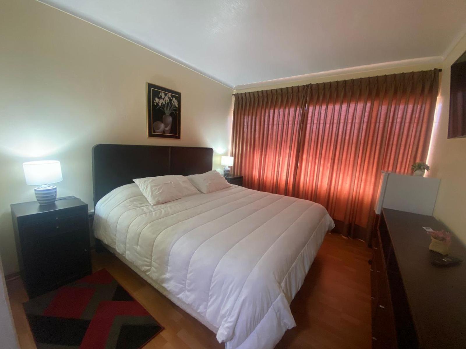 New Hotel Cruz Del Sur コンセプシオン エクステリア 写真