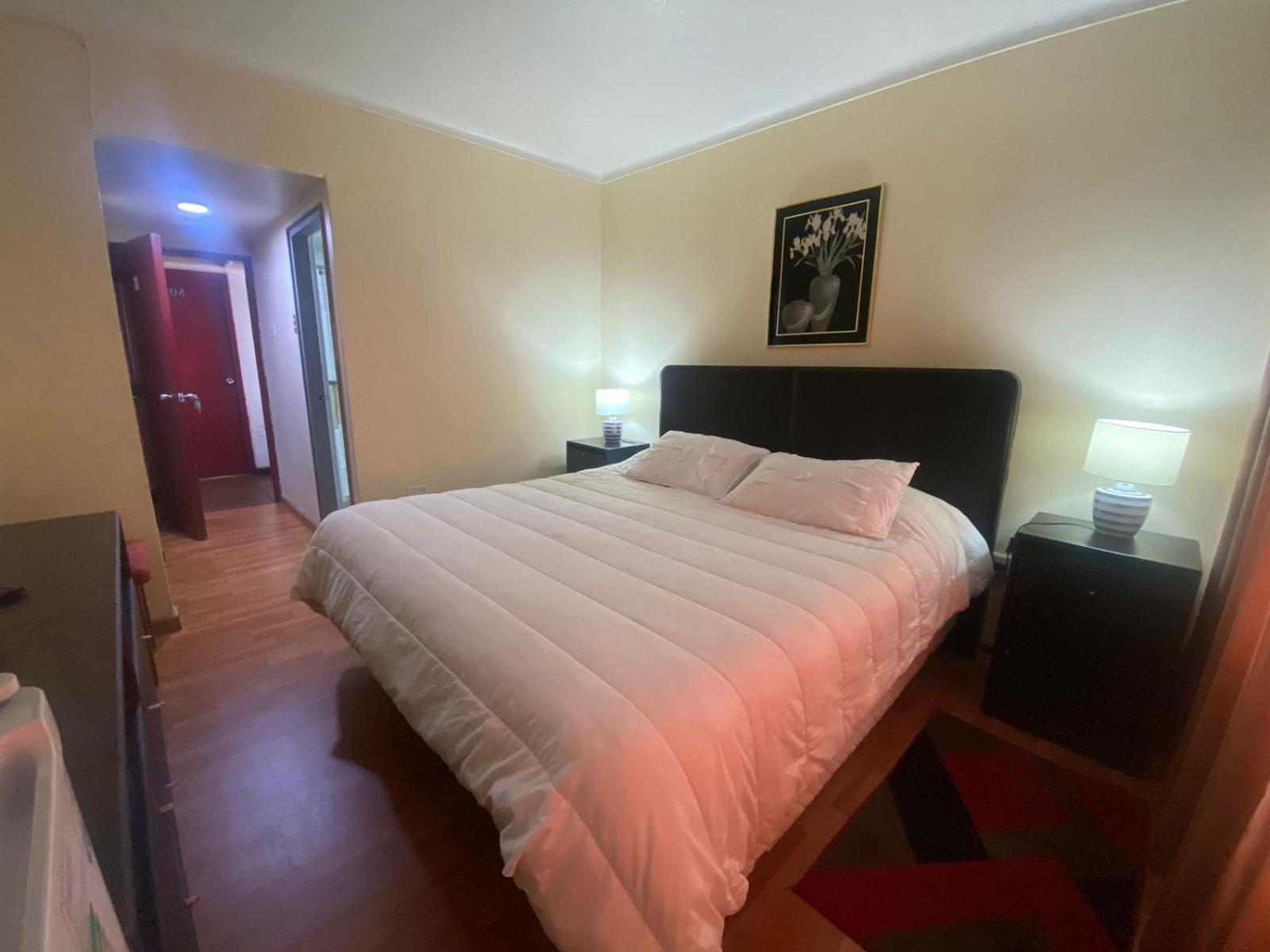 New Hotel Cruz Del Sur コンセプシオン エクステリア 写真