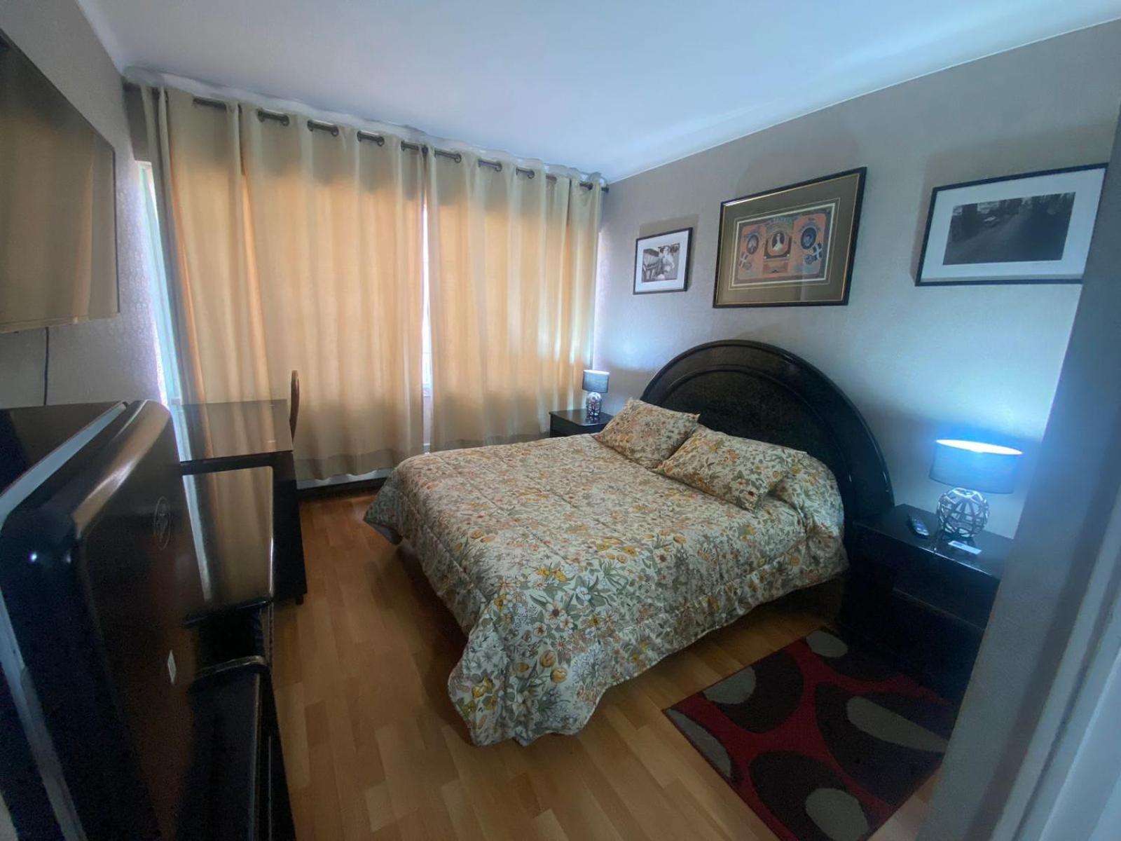 New Hotel Cruz Del Sur コンセプシオン エクステリア 写真
