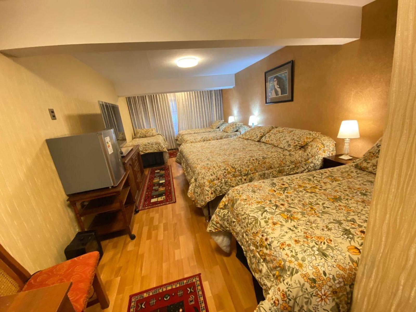 New Hotel Cruz Del Sur コンセプシオン エクステリア 写真