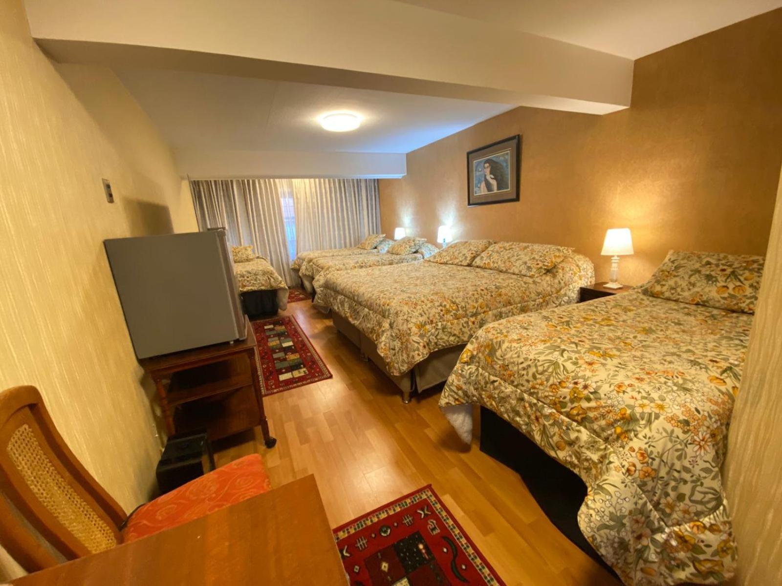New Hotel Cruz Del Sur コンセプシオン エクステリア 写真