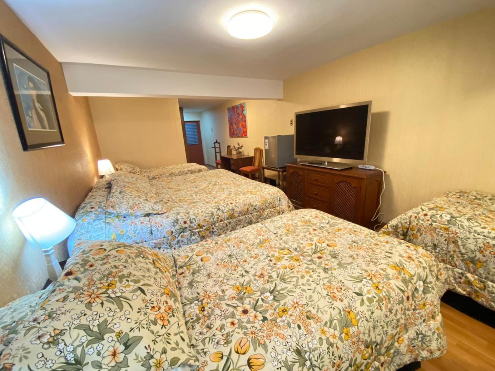 New Hotel Cruz Del Sur コンセプシオン エクステリア 写真