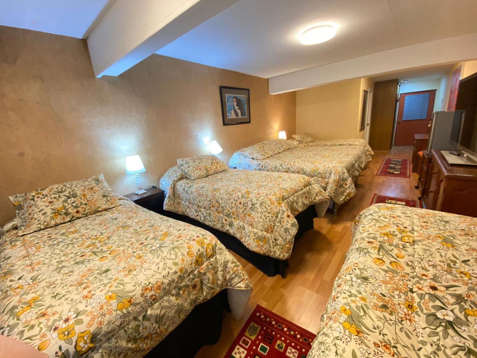 New Hotel Cruz Del Sur コンセプシオン エクステリア 写真
